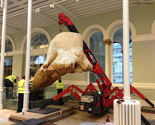 UNIC URW-095 lifting whale skull at National Museum of Scotland