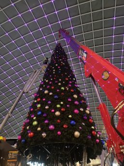 GGR Group Lifts Christmas Tree