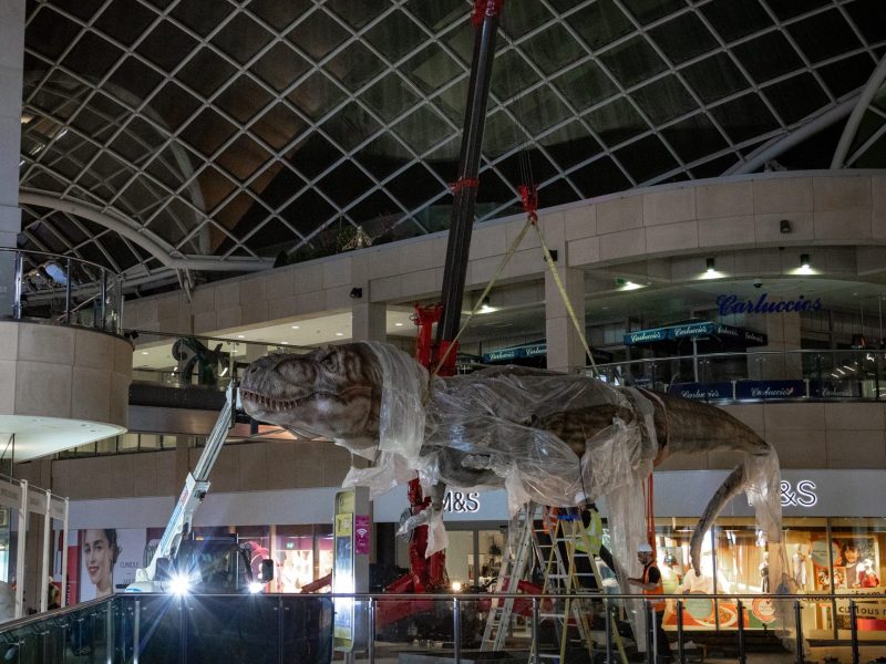 Mini Spider Crane installing Jurassic t-rex