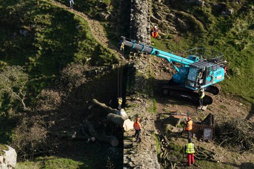 The MCC1004 Mini Crawler Crane lifting the Sycamore Gap tree.